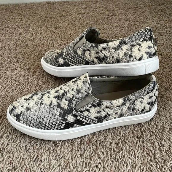 Steve deals madden ecentric